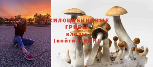 mdma Осинники