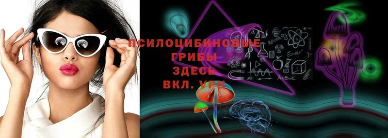 МЕГА зеркало  Крым  Галлюциногенные грибы MAGIC MUSHROOMS  сколько стоит 