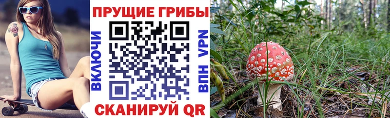 Галлюциногенные грибы Psilocybine cubensis  mega ТОР  Крым 